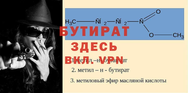 крисы Тында