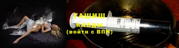 крисы Тында