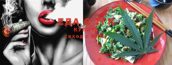 крисы Тында