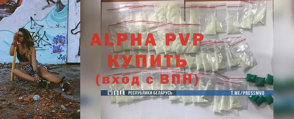крисы Тында